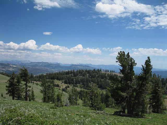 View South from the top of Mount Reba